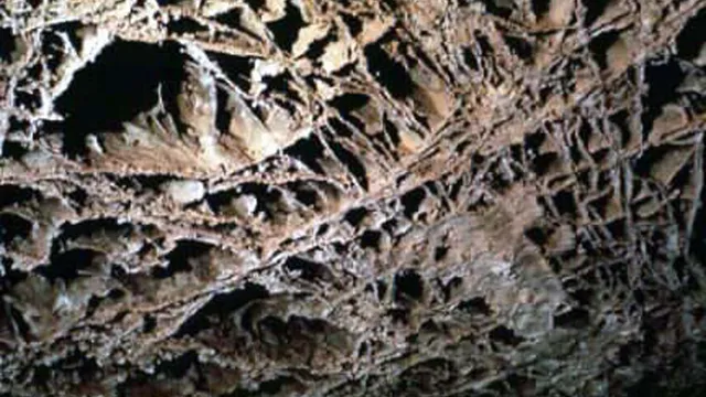 Wind Cave National Park